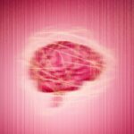 Unlocking the Menopause Mind Mystery: Scientists Edge Closer to Halting Memory Decline for Good!
