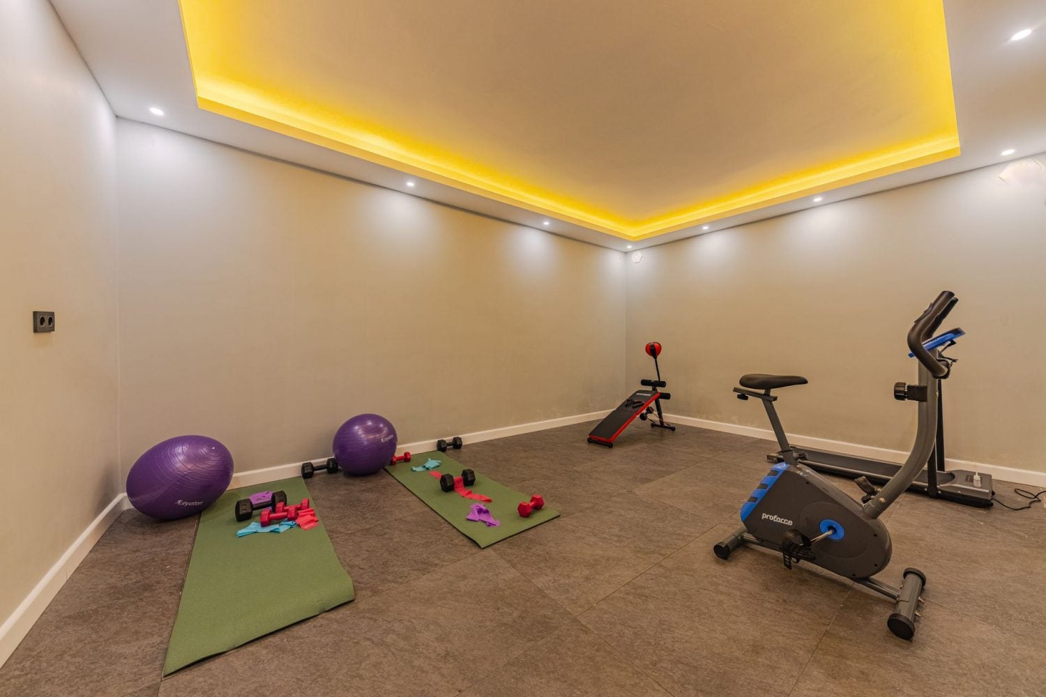 Unlocking the Secret: Why Top Achievers Are Ditching Public Gyms for Private Fitness Havens—and Crushing Their Goals Faster Than Ever