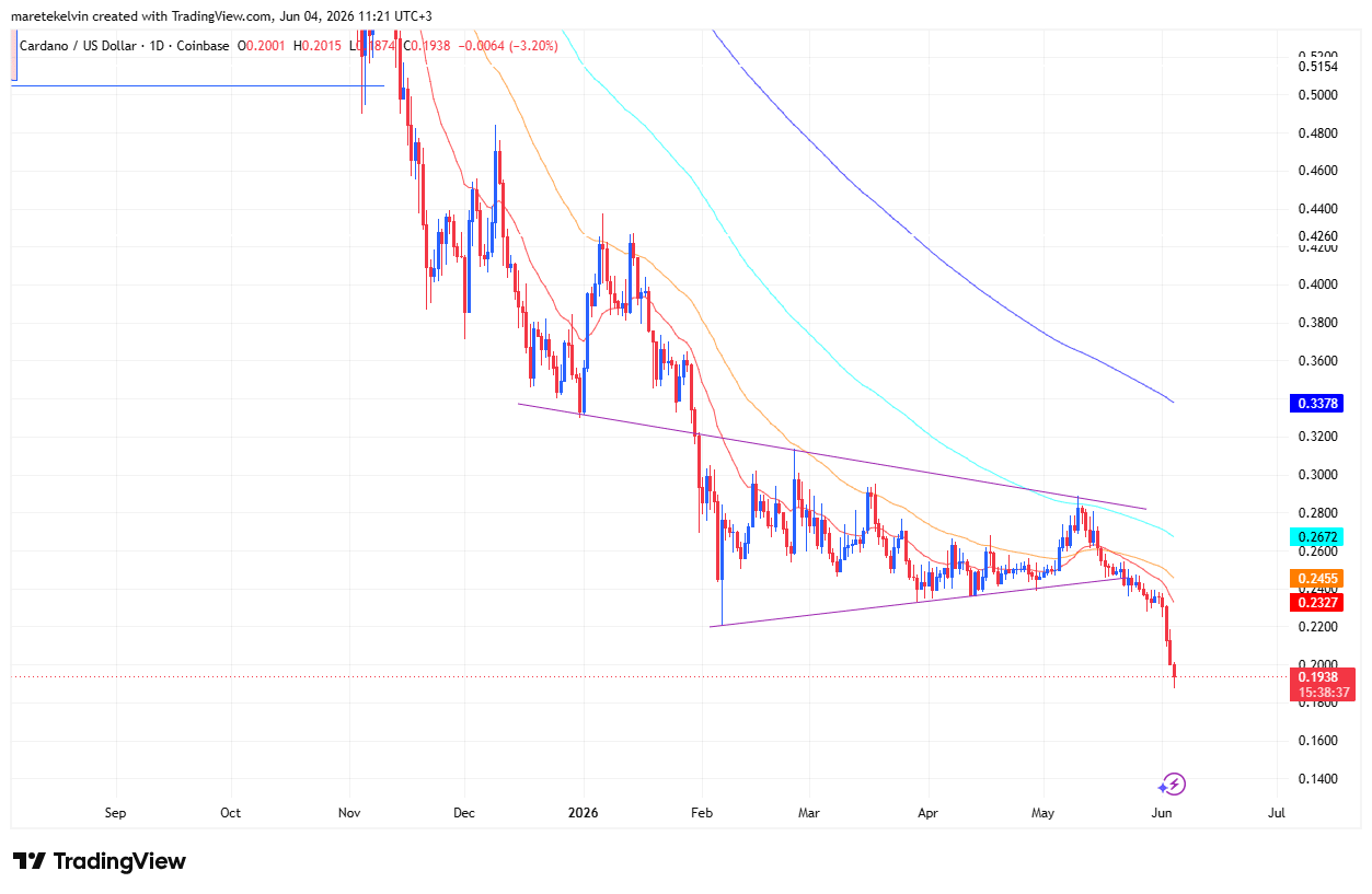 Why Are 75% of Cardano Investors Betting Against ADA? A Shocking Shift That Could Change Everything.