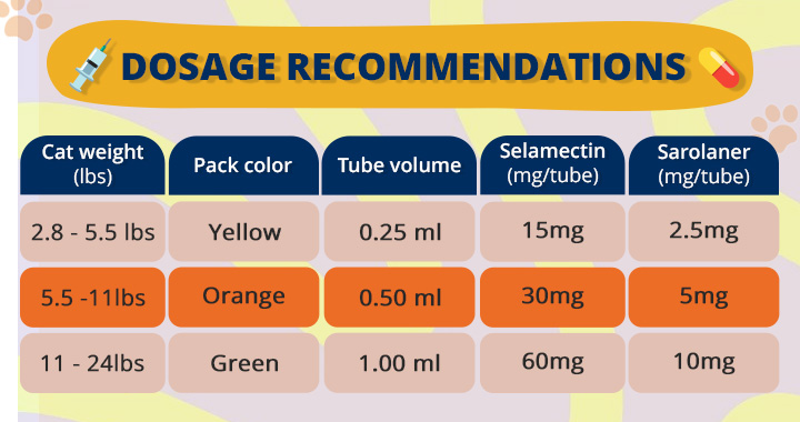 Could This Game-Changing Cat Treatment Be the Secret Weapon Every Cat Parent Needs?
