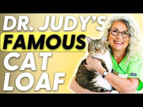 How to Make Dr. Judy's Famous CatLoaf | Easy Homemade Cat Food Recipe
