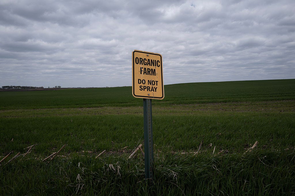 Inside Iowa’s Political Sweat Session: The MAGA-MAHA Clash That’s Heating Up the Heartland!