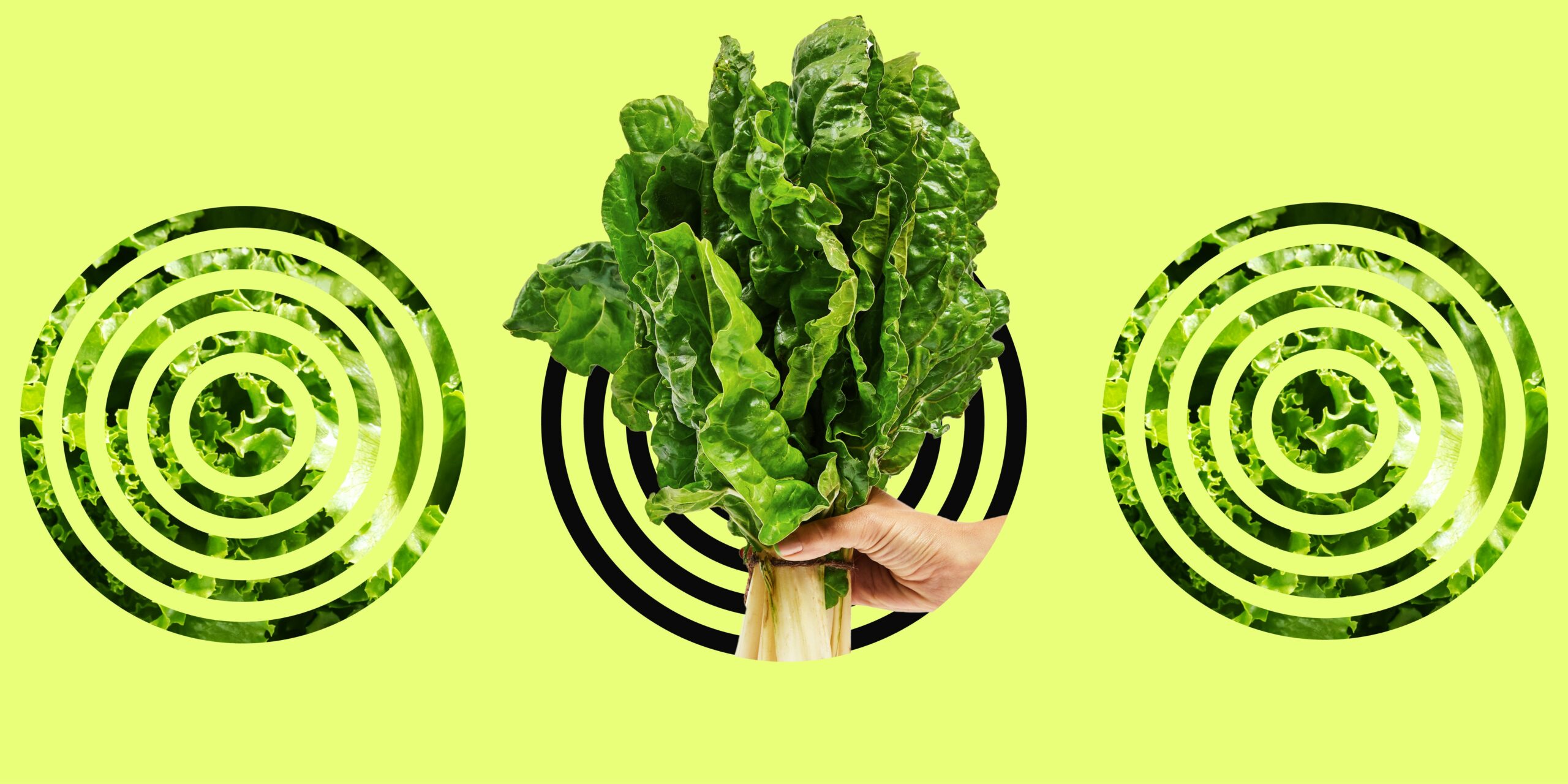 Is Cyclosporiasis Hiding in Your Food? 6 Shocking Answers You Need Before It’s Too Late