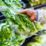 Lettuce’s $5 Billion Crisis: How a Silent Parasite Outbreak Is Shredding an Industry and Changing What Americans Eat—Forever