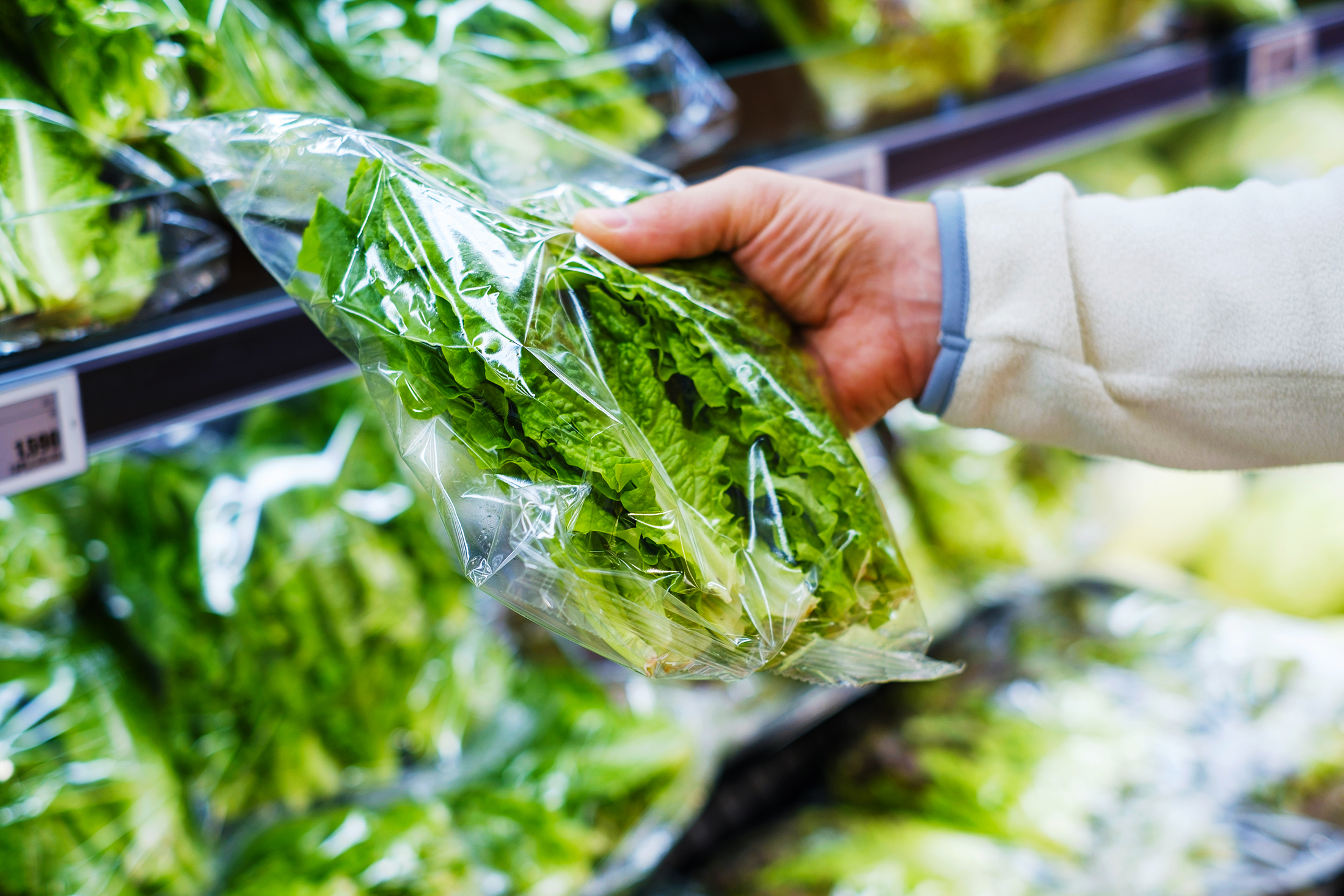 Lettuce’s $5 Billion Crisis: How a Silent Parasite Outbreak Is Shredding an Industry and Changing What Americans Eat—Forever