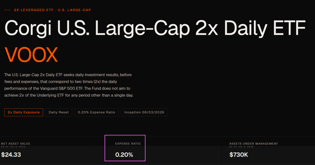 The 0.2% Fee You See Is Just the Tip—How This Leverage ETF Secretly Drains 9% of Your Investment!