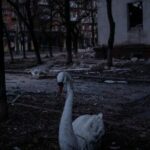 Tragedy Strikes in Dnipro: The Untold Story Behind a Russian Missile’s Deadly Impact on One Family’s Future