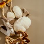 Unlock Sharper Memory and Brain Boosting Power with This One Surprising Mushroom You’ve Never Tried!