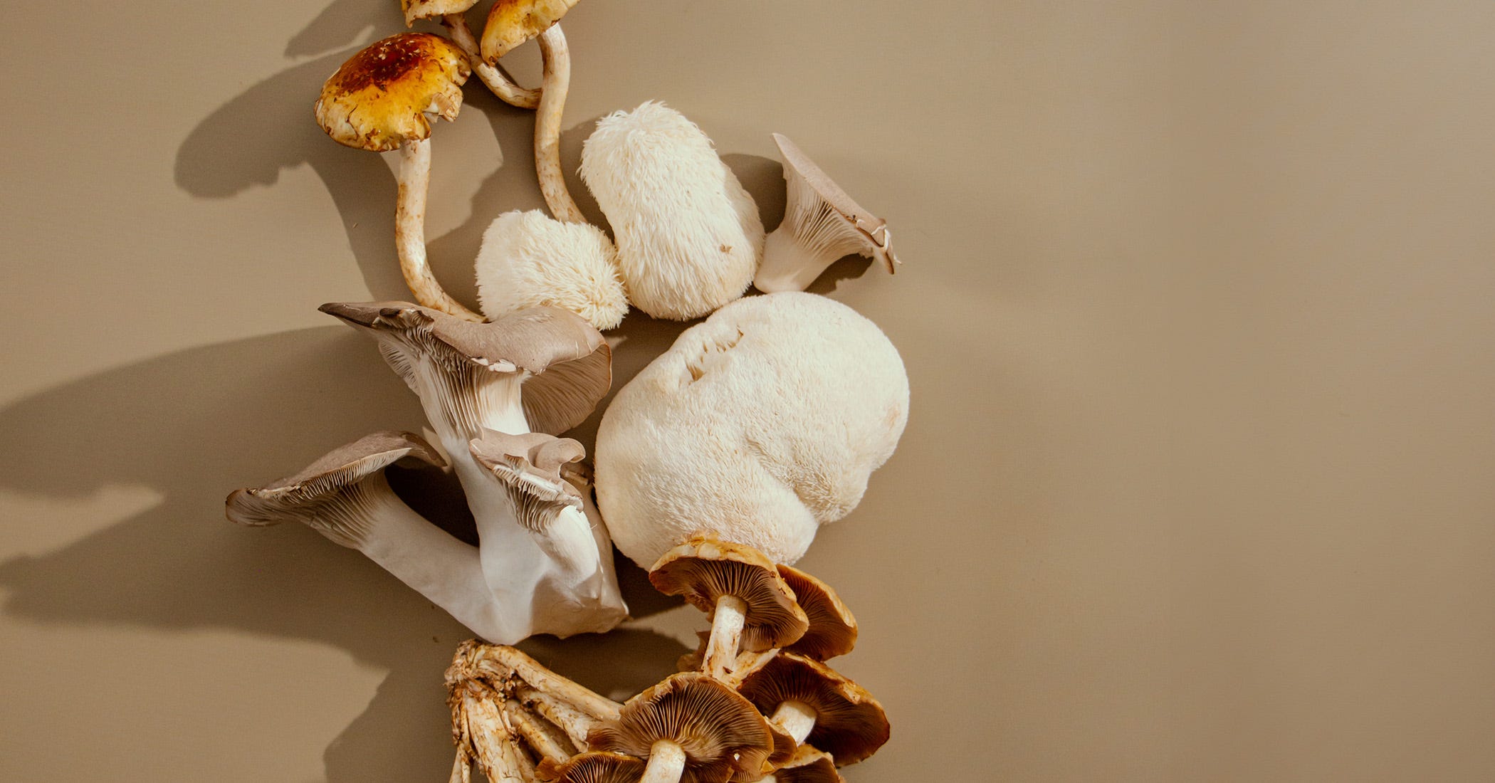 Unlock Sharper Memory and Brain Boosting Power with This One Surprising Mushroom You’ve Never Tried!