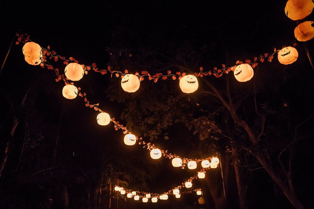 Unlock Summerween Secrets: How Dollar Tree Hauls Can Supercharge Your Halloween Vibes All Year Long!