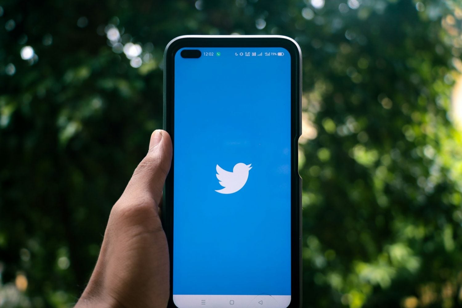 Unlock the Dark Side of Your Old Retweets: How They Could Sabotage Your Reputation When You Least Expect It