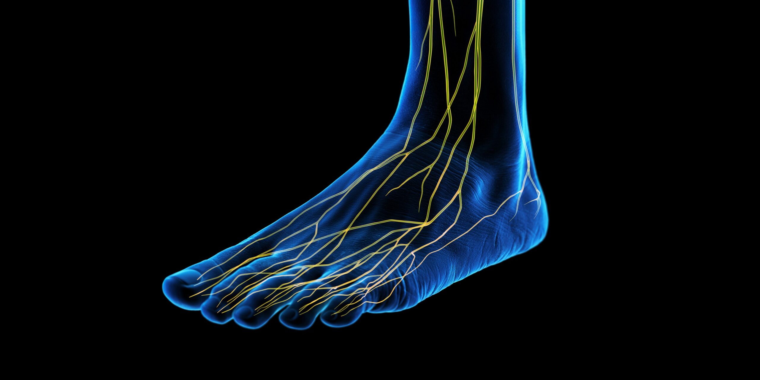 Unlock the Secret Power Hidden in Your Feet: Why Building These 100 Muscles Could Transform Your Strength Forever