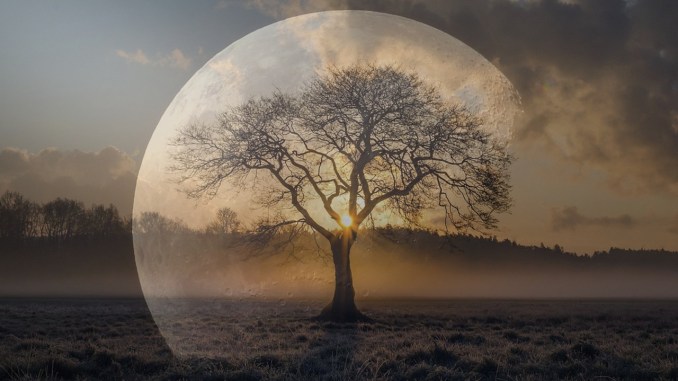 Unlock the Shocking Truth Behind Your Nightmares—What Your Bad Dreams Are Really Trying to Tell You!