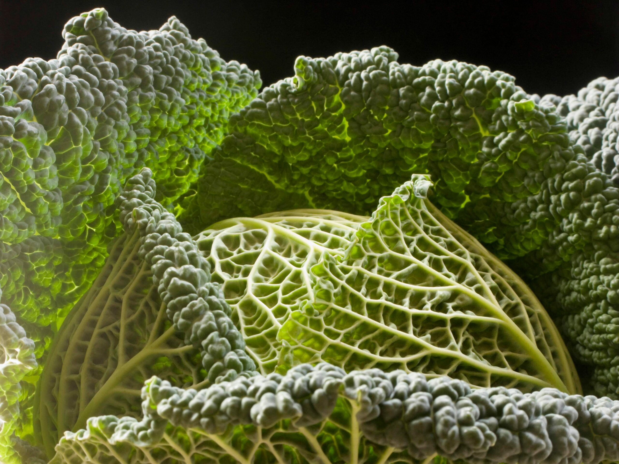 Unlock the Unexpected Superfood Hiding in Your Grocery Aisle That Will Skyrocket Your Fiber Intake—Here’s Why Everyone’s Talking About It!