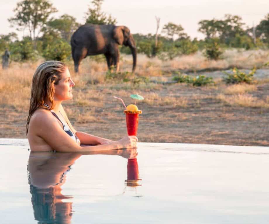 Unlocking the Safari Secret: How Private Concessions Are Quietly Revolutionizing Your Wild Adventure Experience