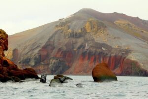 Unlocking the South Shetlands: What Antarctica’s Hidden Frontier Reveals About Survival and Resilience