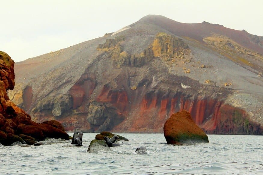 Unlocking the South Shetlands: What Antarctica’s Hidden Frontier Reveals About Survival and Resilience