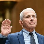 Why Anthony Fauci’s Senate Hearing Took a Wild Turn No One Saw Coming — And What It Means for Your Health Journey