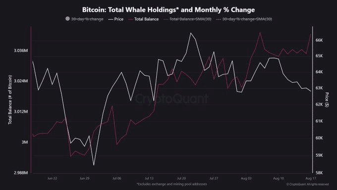 Bitcoin Whales Surge with $2.64B Buy as Bhutan Moves 300 BTC—Is the Market Setting a Deadly Bear Trap?