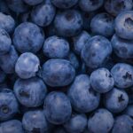 Could This Popular Superfood Be Harming Your Dog? The Truth About Blueberries Revealed!