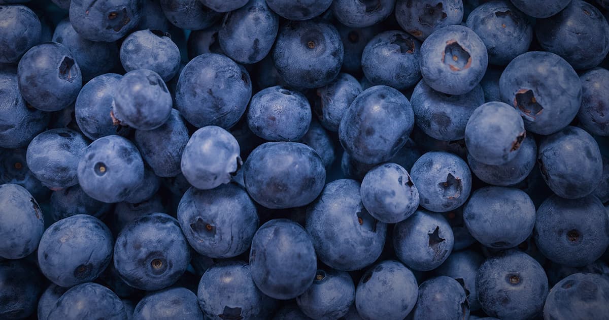 Could This Popular Superfood Be Harming Your Dog? The Truth About Blueberries Revealed!