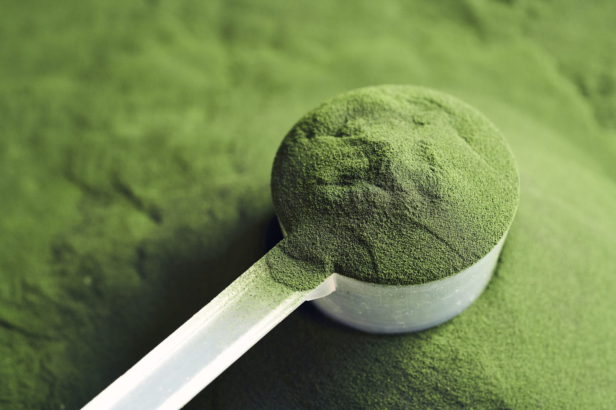 Is Your Go-To Greens Powder Secretly Putting You at Risk? Inside the Shocking Salmonella Scare Experts Can’t Ignore!