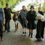 Leitrim County Council’s Bold Five-Year Playbook: What Every Investor and Entrepreneur Must Know Now!
