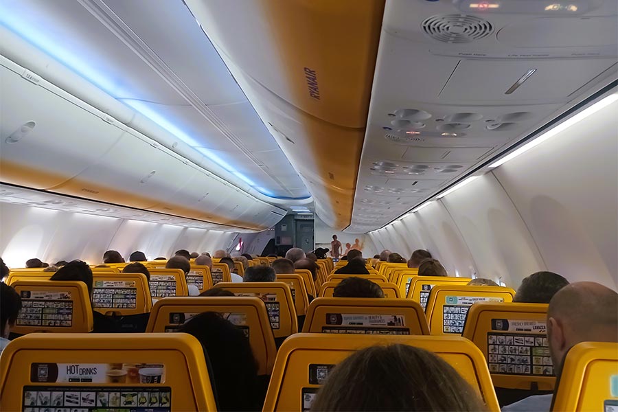 Ryainair’s Mid-Flight Crisis: How a Tiny Bird Almost Grounded a Multi-Million Dollar Operation—And What Every Entrepreneur Must Learn From It
