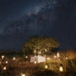 Safari Lodges Reinvented: What’s Behind the Luxe Revolution Transforming Wildlife Escapes?