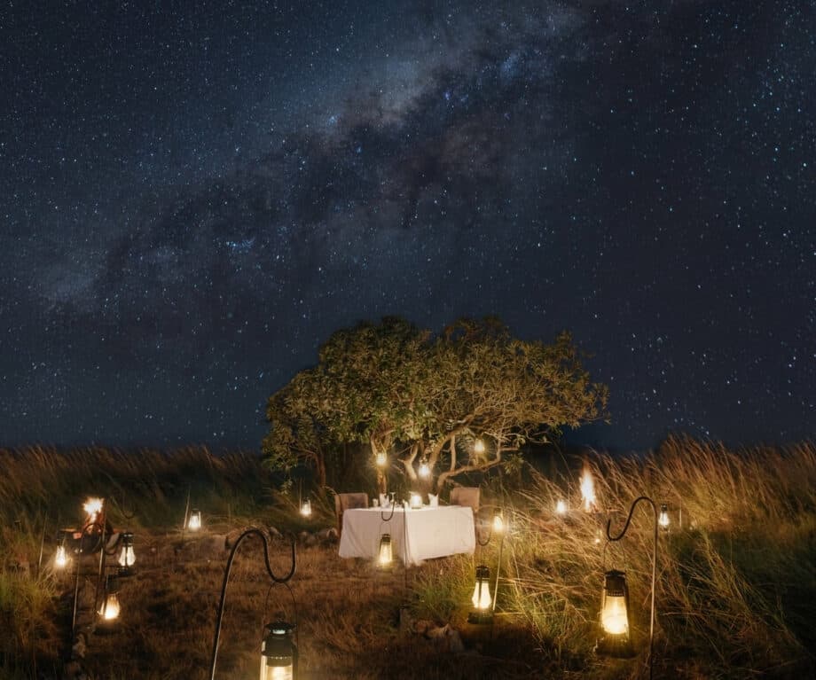 Safari Lodges Reinvented: What’s Behind the Luxe Revolution Transforming Wildlife Escapes?