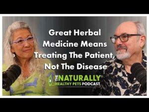 Treating The Patient, Not The Disease | NHP Podcast Ep 86 | Dr. Judy Morgan & Dr. David Winston