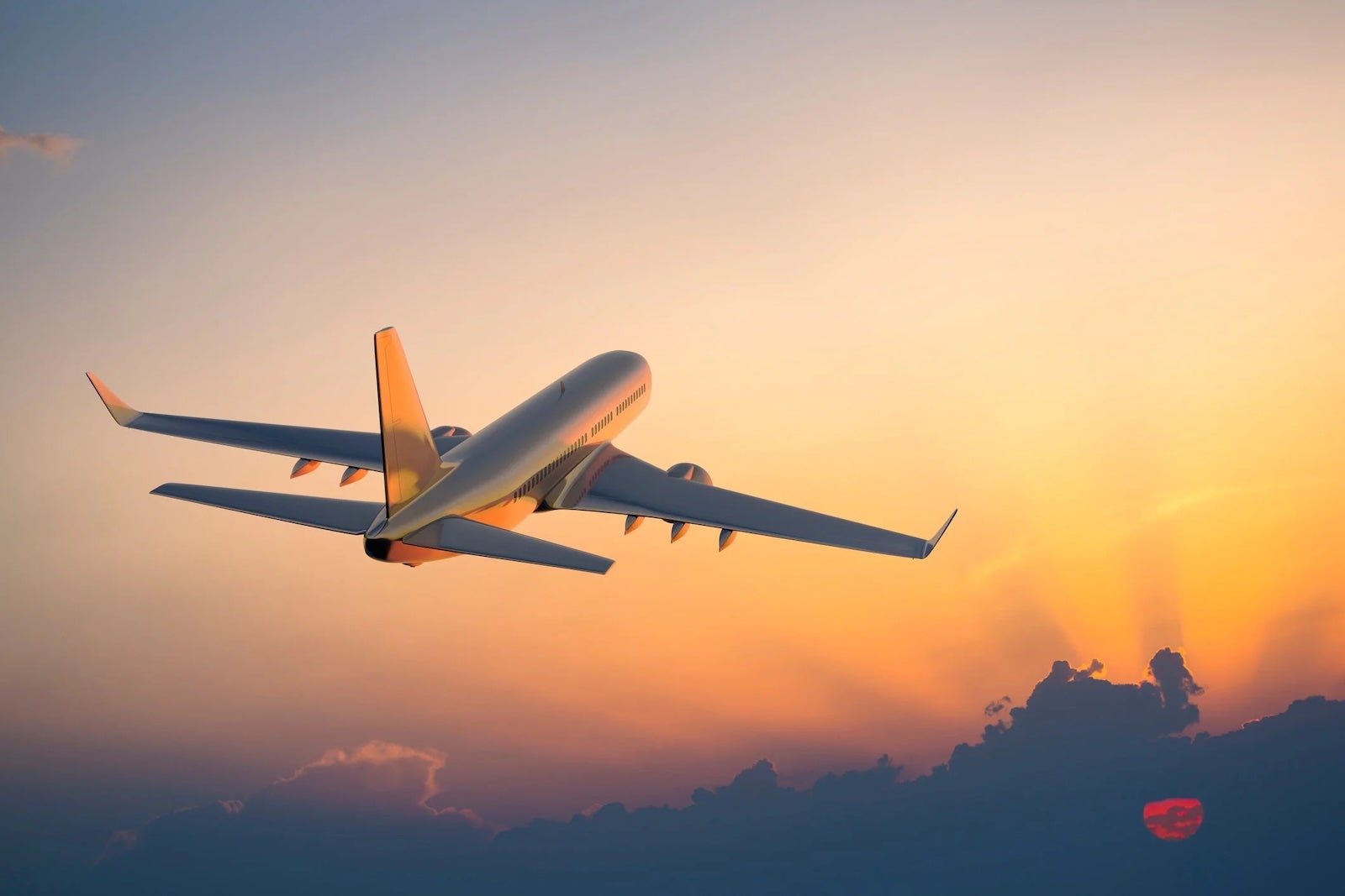 Unlock Secret Deals on TPG’s Top Travel Tools That Could Transform Your Next Adventure!