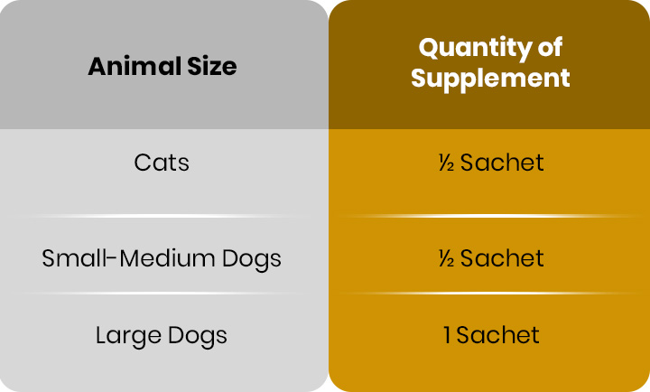 Unlock the Secret to Your Pet’s Health: Why ProbiVet’s Pre & Probiotic Is a Game-Changer for Dogs and Cats