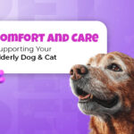 Unlock the Secret Tricks to Keeping Your Aging Pets Happy, Healthy, and Loving Life Like Never Before!