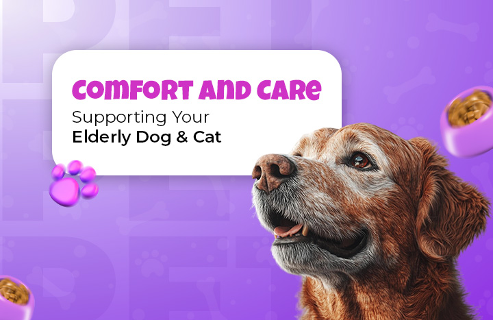 Unlock the Secret Tricks to Keeping Your Aging Pets Happy, Healthy, and Loving Life Like Never Before!