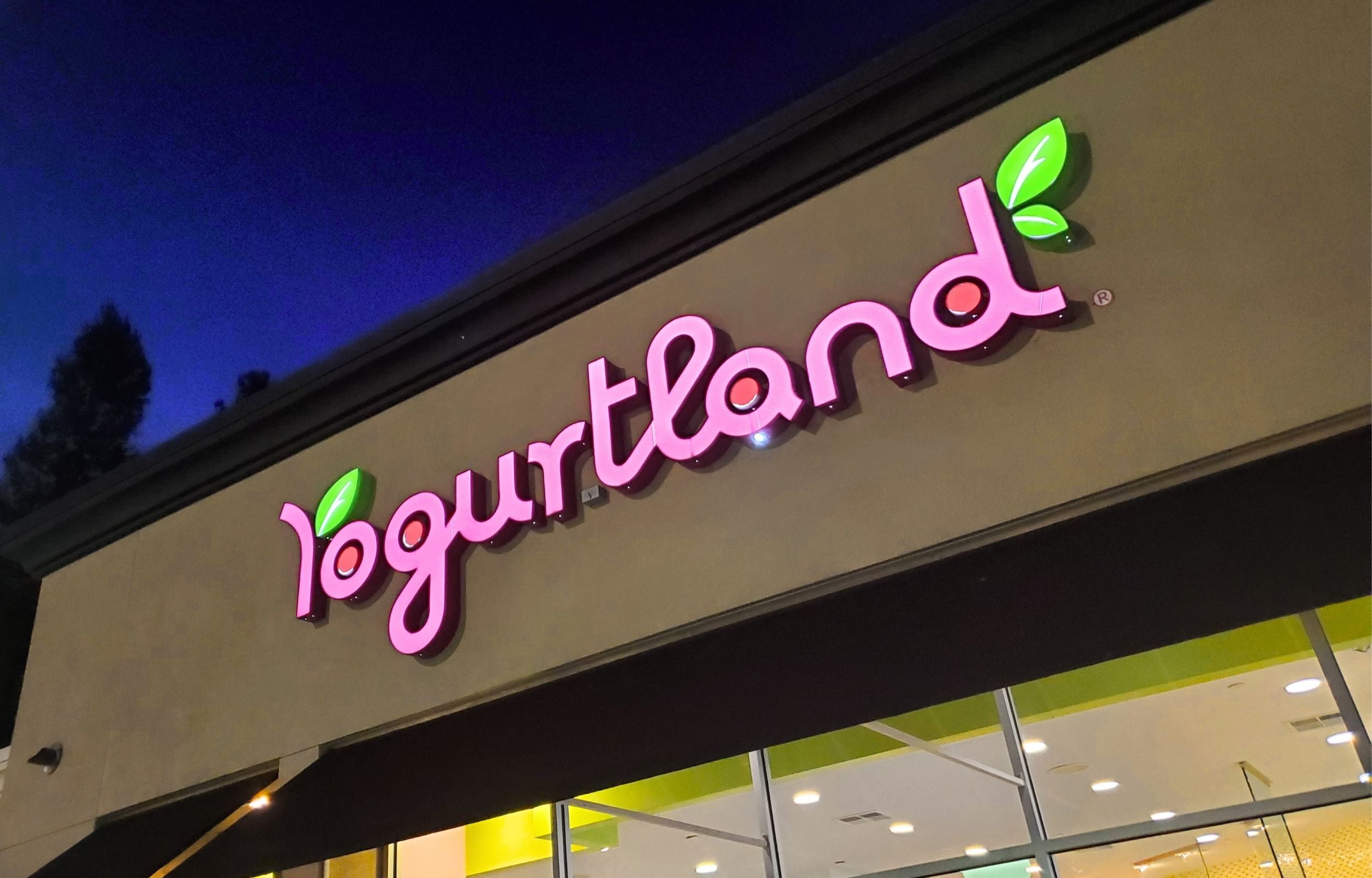 Why These Yogurtland Franchisees Are Betting Everything — And Refusing to Cash Out, No Matter the Cost