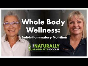 Anti-Inflammatory Nutrition | NHP Podcast Ep. 88 | Dr. Judy Morgan & Heather Enajibi