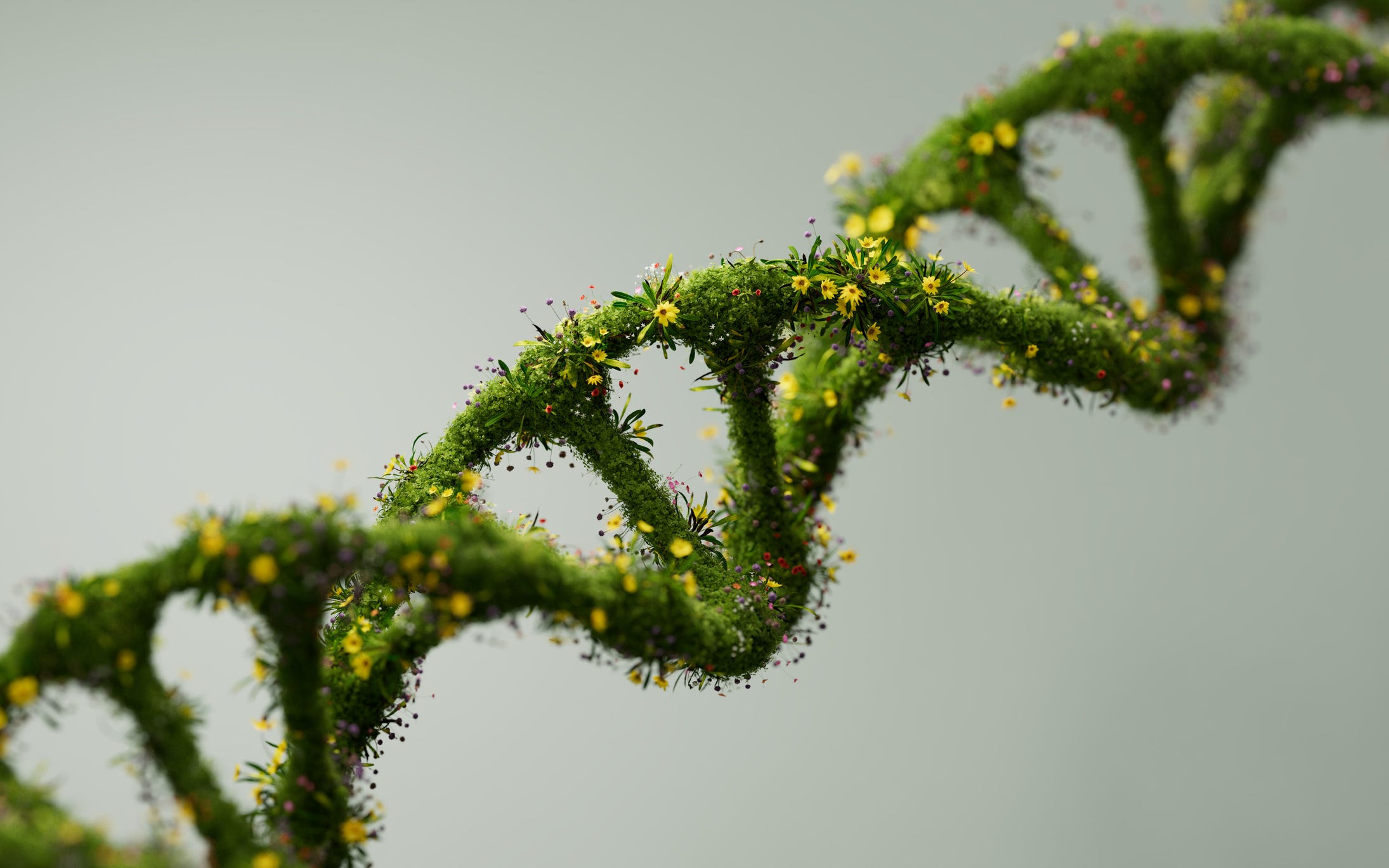 Could This Hidden Fourth Factor Be the Game-Changer We’ve Been Missing to Stop Aging in Its Tracks?