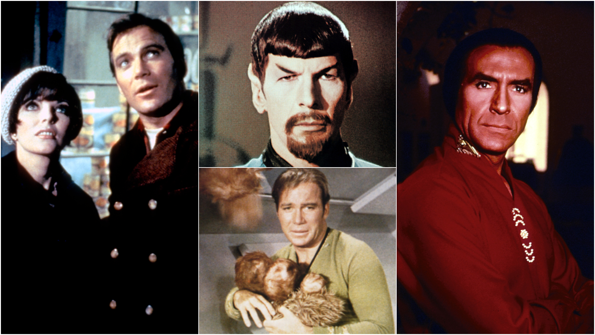 How ‘Star Trek’ Became Mary Trump’s Unexpected Sanctuary—and What That Teaches Us About Finding Strength in Strange Places