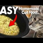 How to Make: The EASIEST Cat Food Recipe in UNDER 5 MINUTES (Turkey)