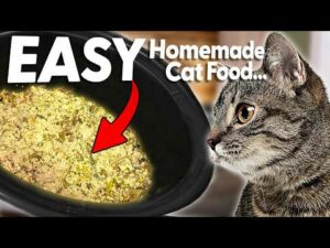 How to Make: The EASIEST Cat Food Recipe in UNDER 5 MINUTES (Turkey)