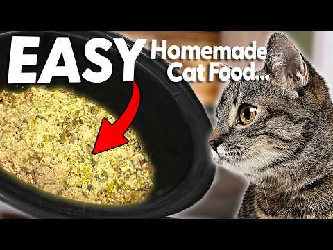 How to Make: The EASIEST Cat Food Recipe in UNDER 5 MINUTES (Turkey)