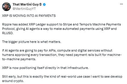 Is Ripple’s Bold AI Move on XRPL the Start of a Payment Revolution or Just Hype?