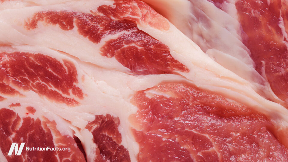 Shocking Twist: How The Meat Papers’ Own Data Undermines Their Bold Health Claims—What You Need to Know Now