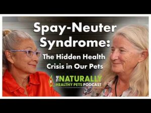 Spay-Neuter Syndrome | NHP Podcast Ep. 89 | Dr. Judy Morgan & Dr. Ruth Roberts