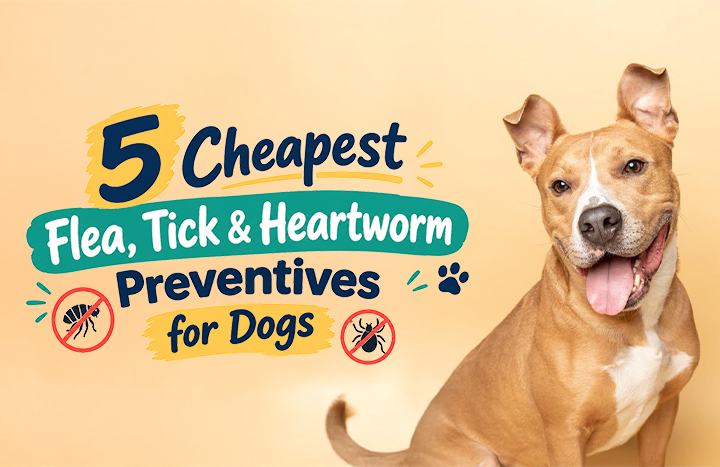The Shocking Truth About Affordable Flea, Tick, and Heartworm Preventives Every Dog Owner Needs to Know Now!