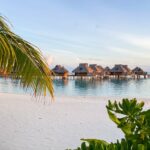 Unlock Hidden Hilton Honors Perks: The Unexpected Card Benefits Every New Traveler Needs to Know