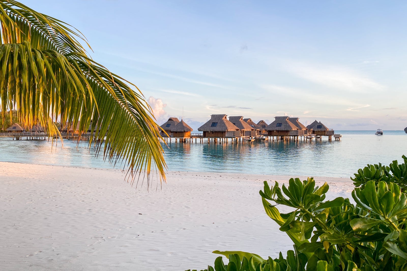 Unlock Hidden Hilton Honors Perks: The Unexpected Card Benefits Every New Traveler Needs to Know