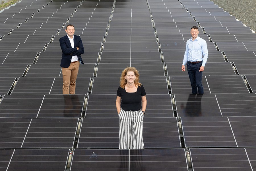 Why 70% of Irish Companies Are Putting Critical Energy Moves on Ice—And What It Means for Your Bottom Line
