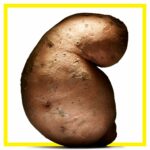 Forget Expensive Supplements: This Simple Gut Hack Could Be the Real Game-Changer You’ve Been Missing!